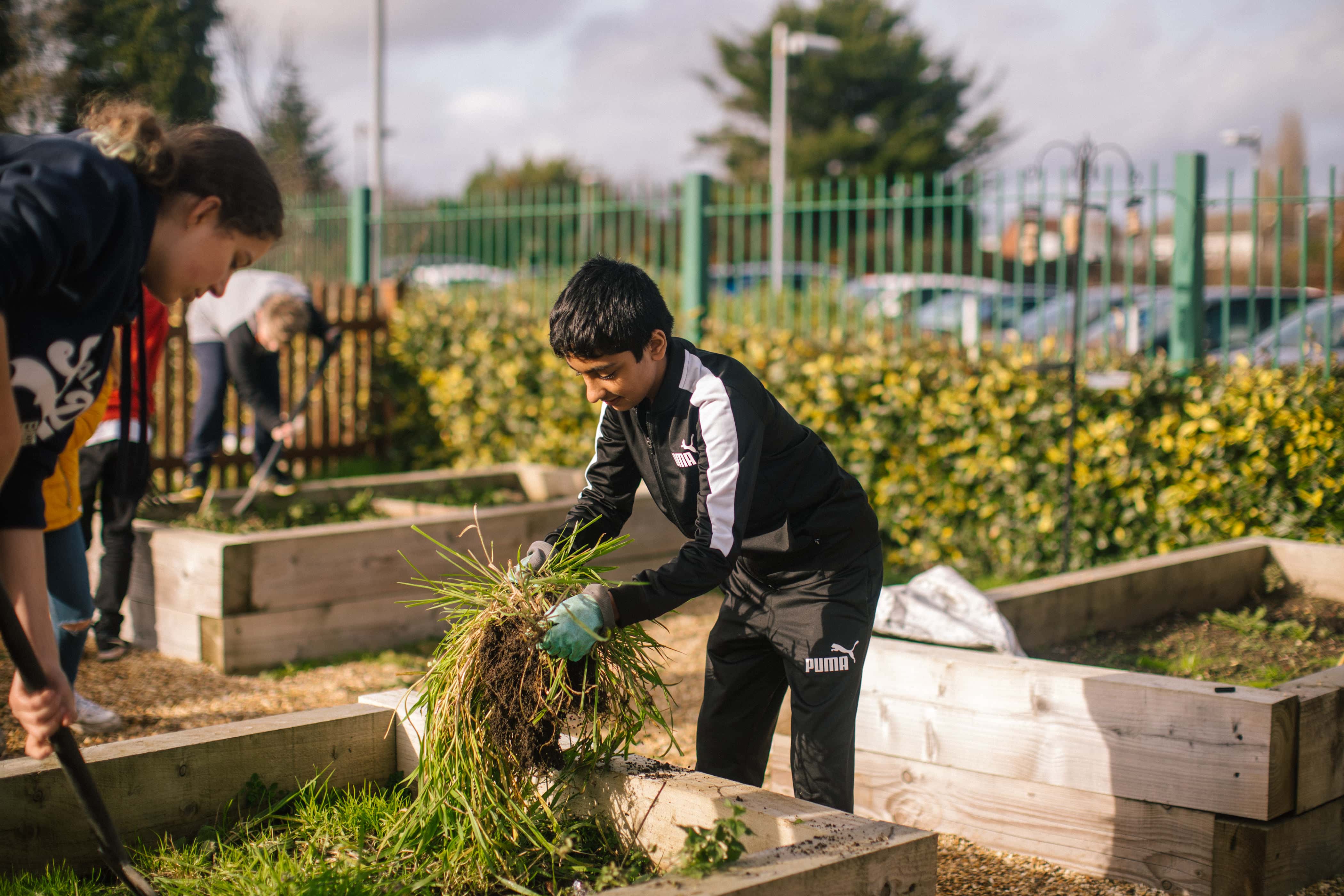 A young boy in a black track suit is holding green grass in his hands as he works with an adult on a raised planting bed