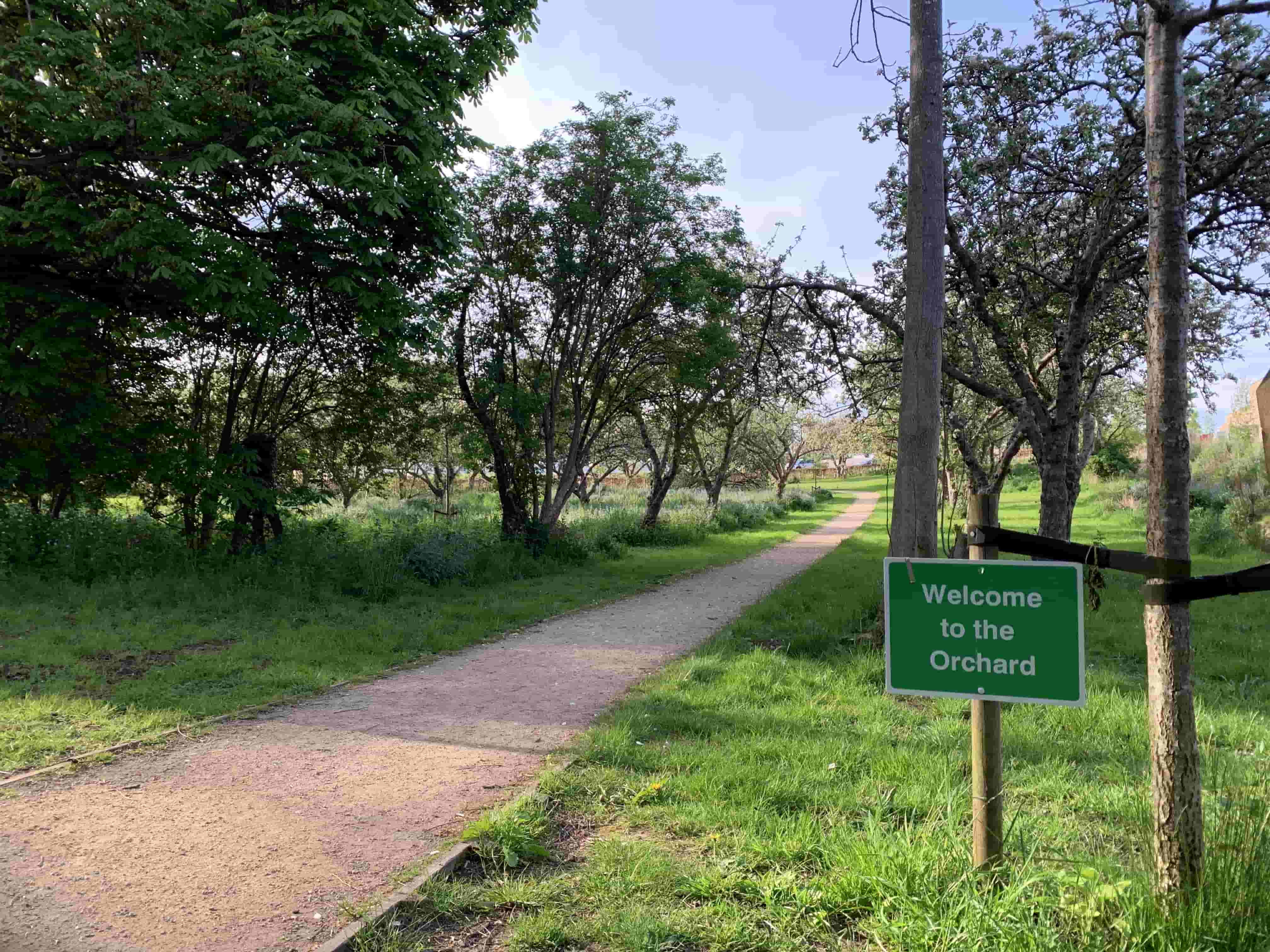 A photograph of an orchard with a gravel path winding through it. On the right hand side there is a sign saying welcome to the orchard. 