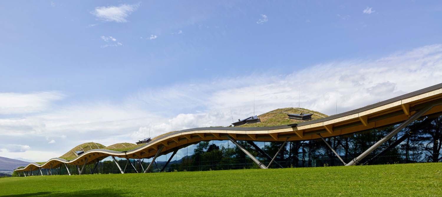 The exterior of the Timber Awards Winning Project Macallan Distillers Visitor Experience Centre. The building's wavy design and green roof give the appearance of rolling hills.