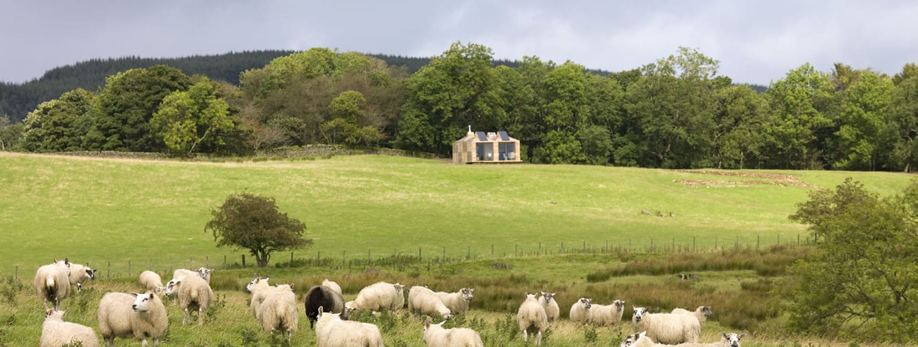 A small building on a hill within a rural landscape. There are trees, grass and sheep roaming around the bottom of the hill.