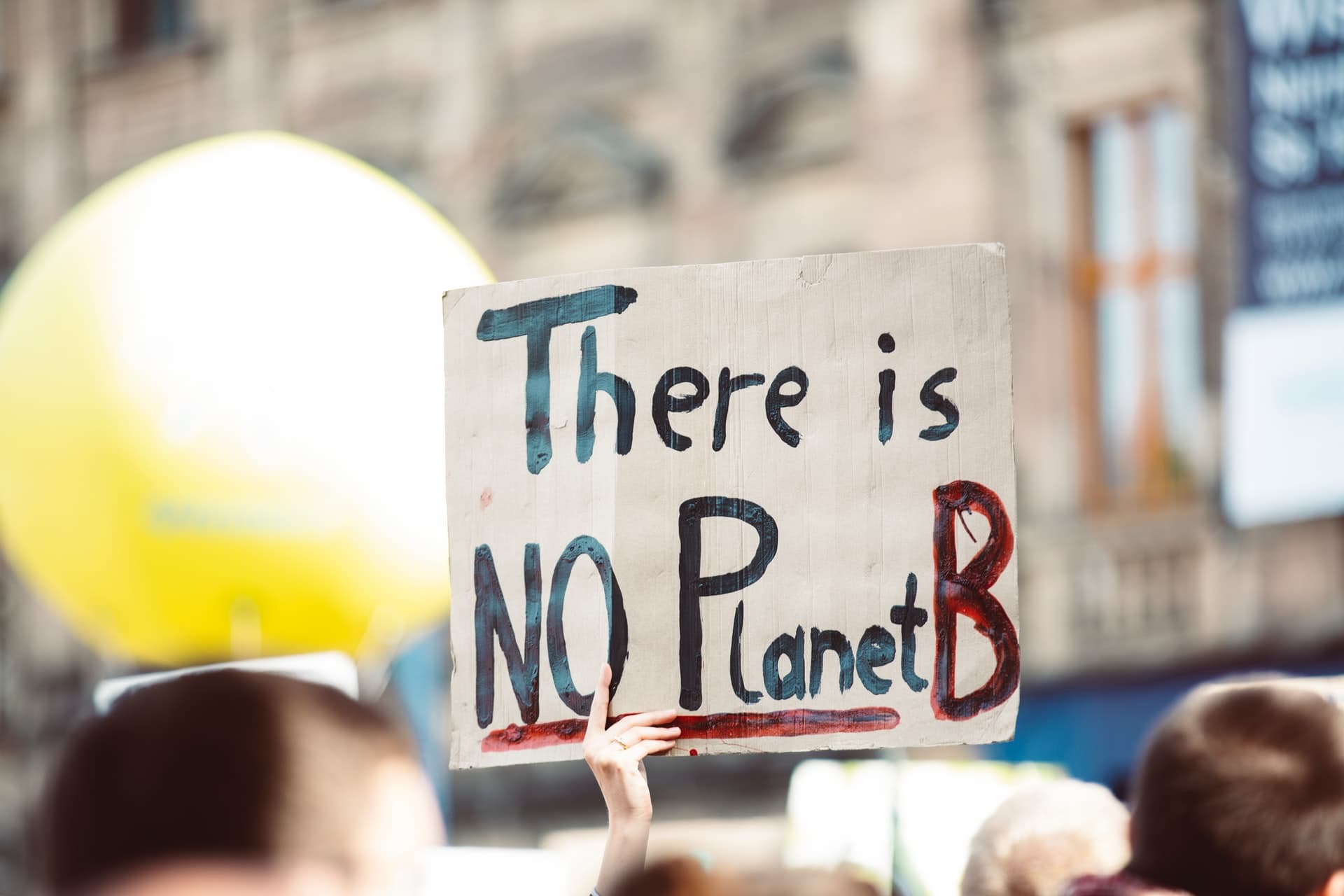 A person holding a sign up with the words 'There is No Planet B' at a rally.