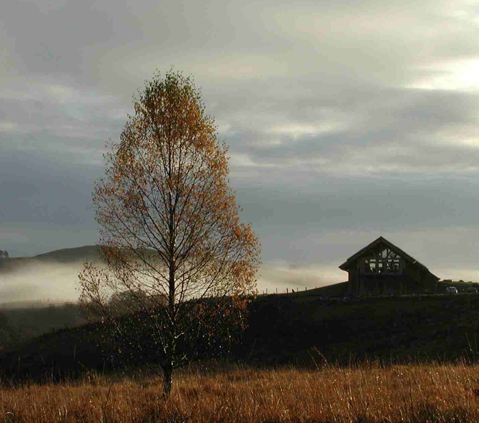 A building in a rural setting in the afternoon light. The building is nestled on a hill with mist in the background and a tree just below the hill.