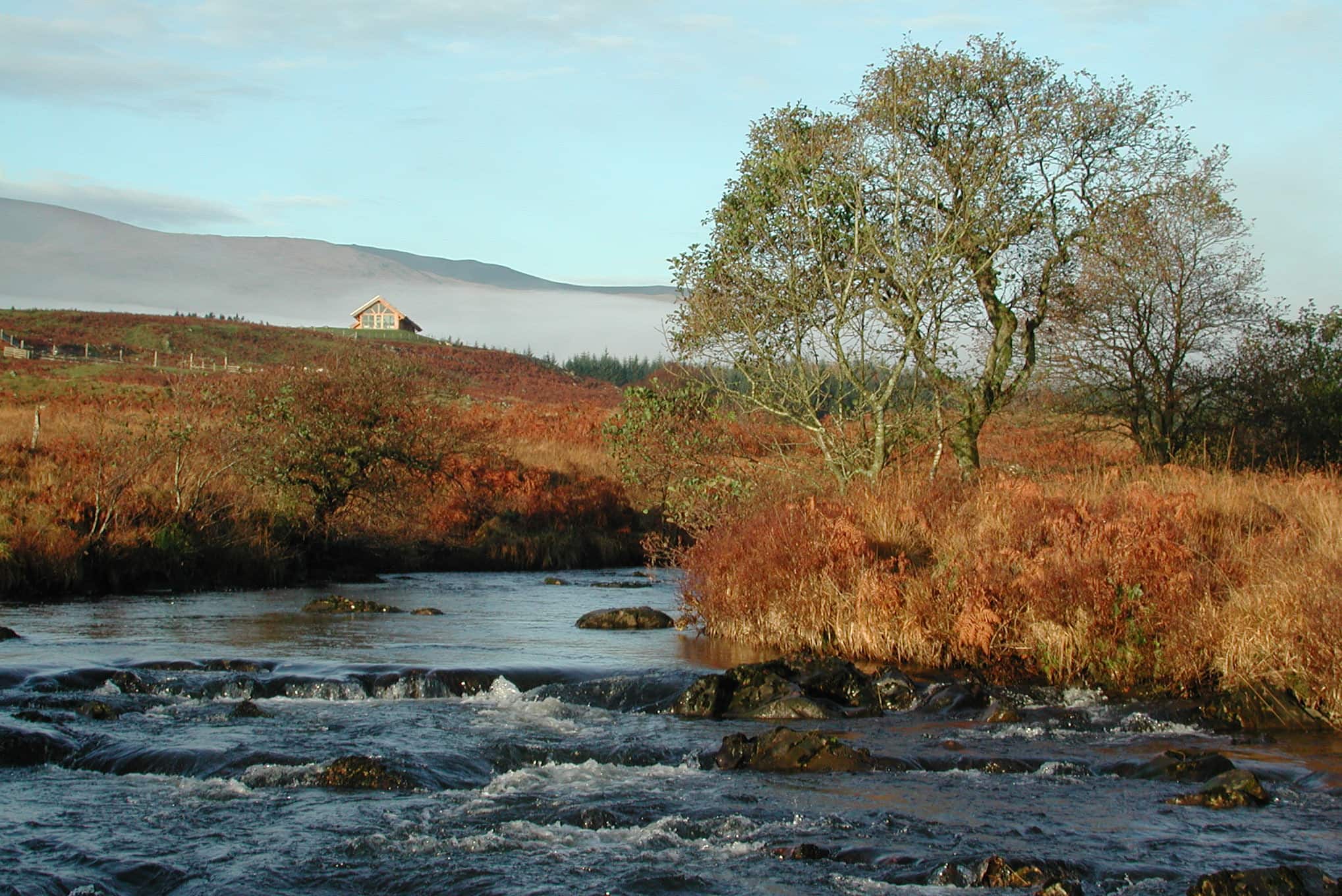 A rural setting of a river. There are long brown grass and trees on each side of the river with a building in the distance. 