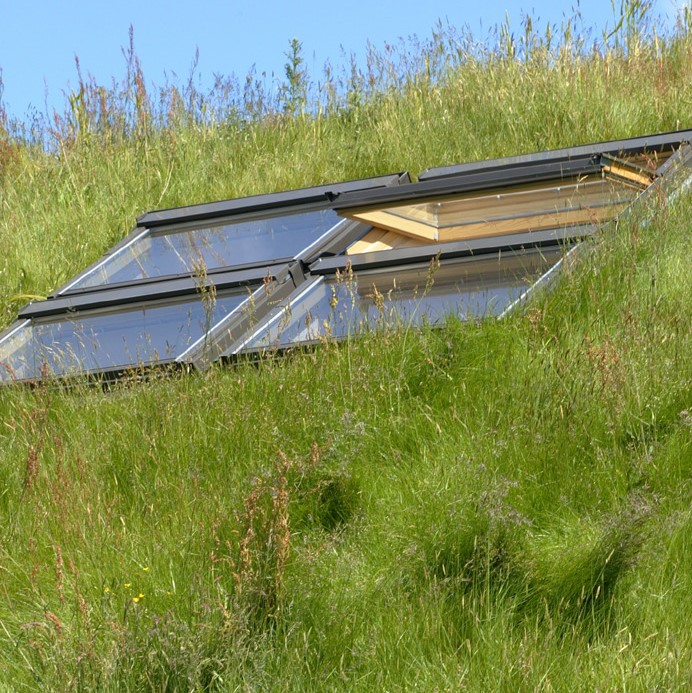 Skylight or window on a roof covered in grass. One of the windows is open.