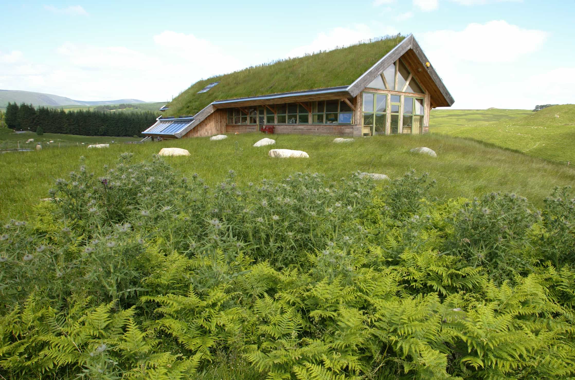 A building with a green roof and windows around it. The building is nestled on a rural setting with sheep, forests and hills.