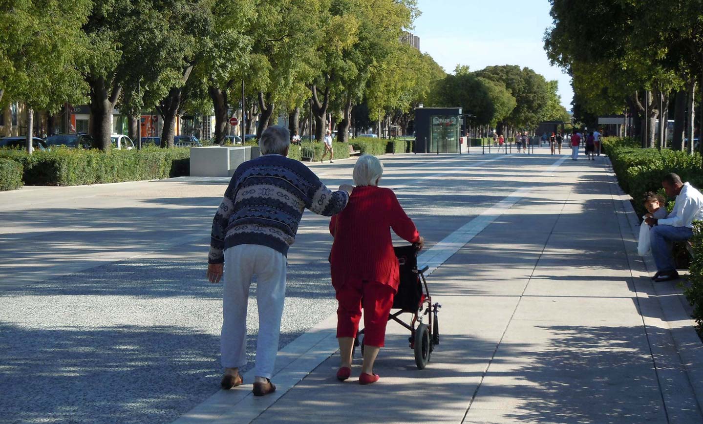 An elderly couple walking through a green urban space under the shading of tall trees.