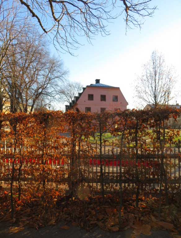 A hedgerow sits at the front of the image with a large orange coloured rendered building visible behind