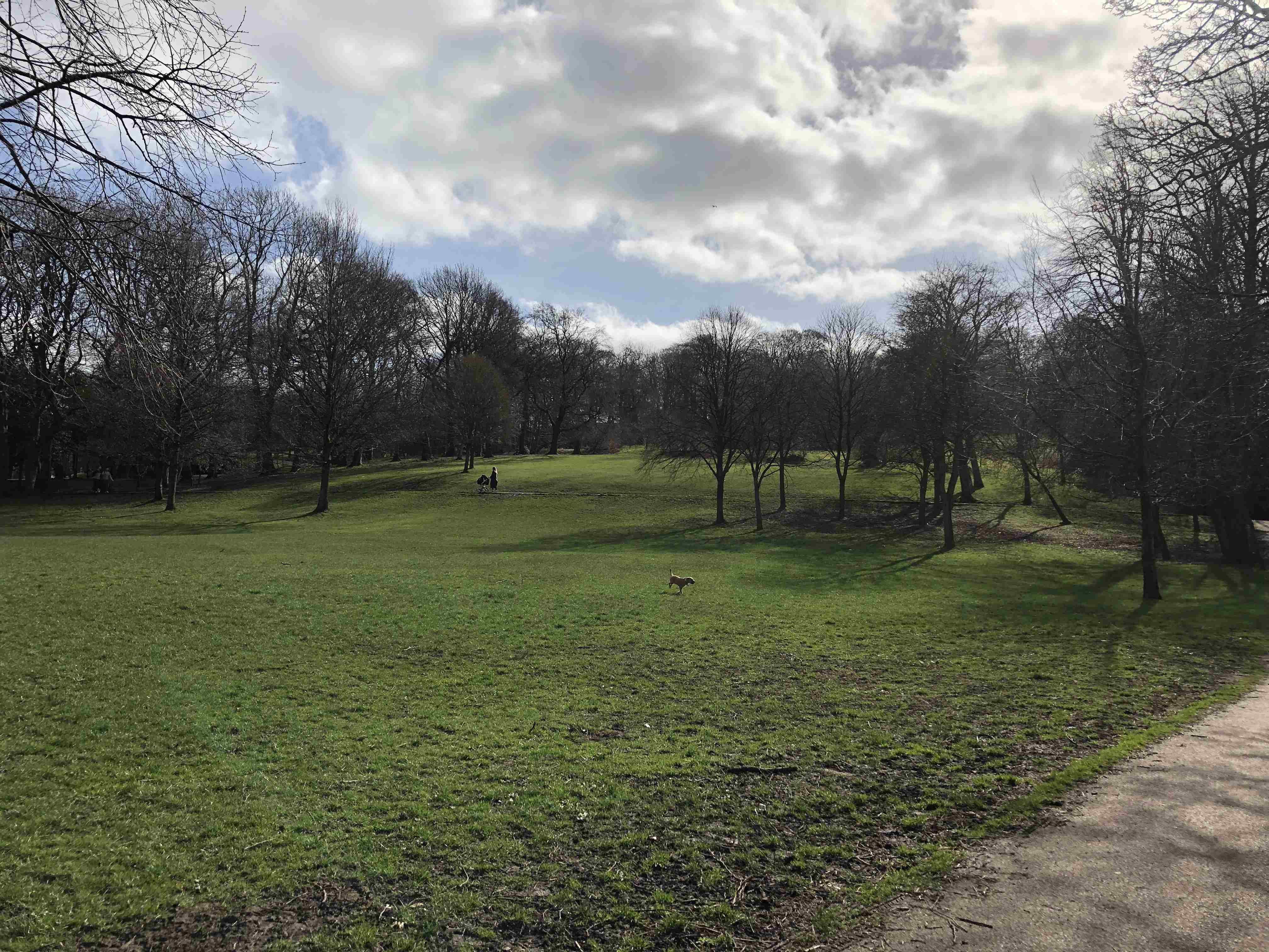 Someone pushing a pram and a dog running in Queens Park in Glasgow. It is a partly cloudy day.