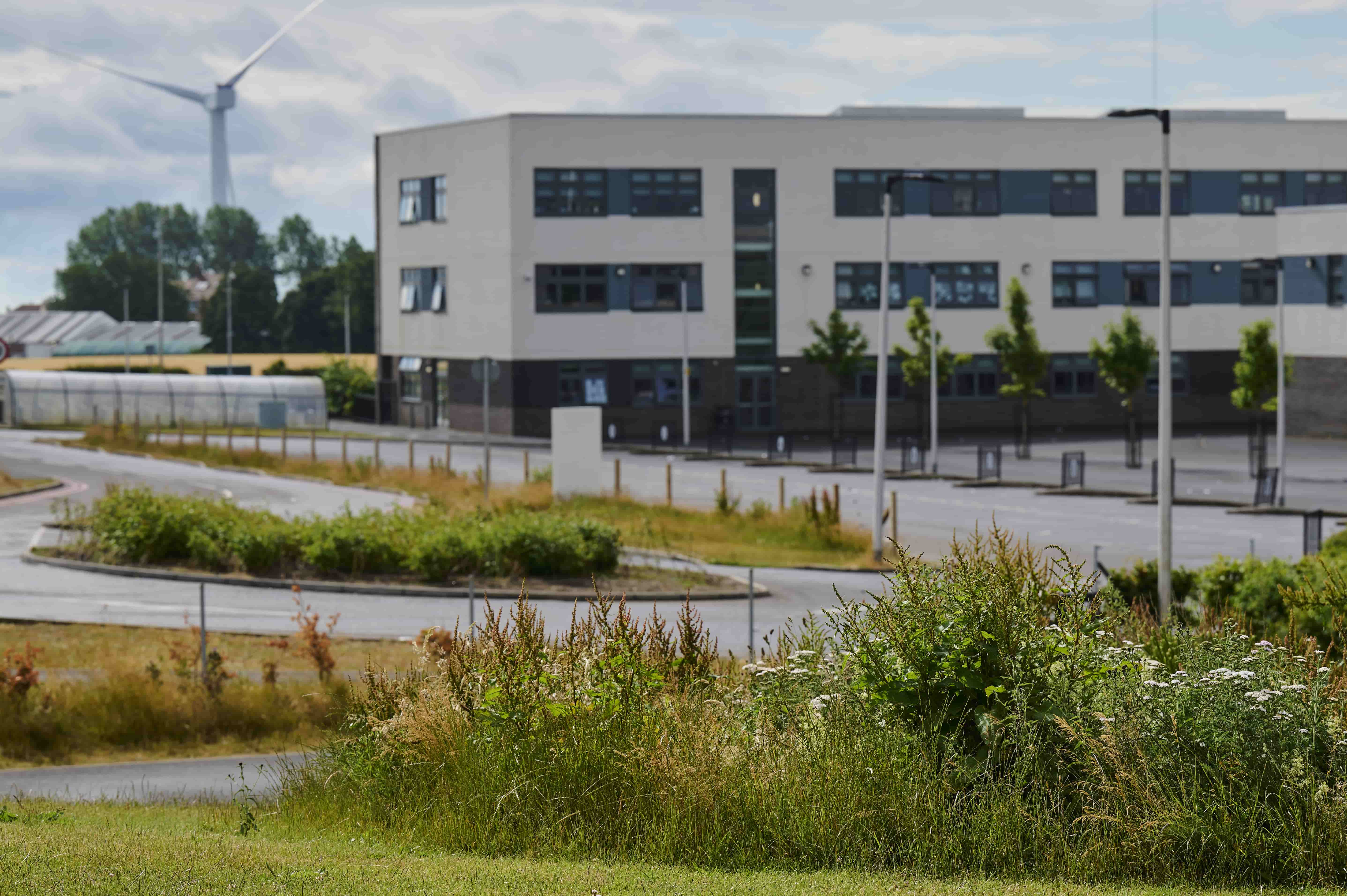 An area of tall grass in the foreground with a three storey school building in the background and a visible wind turbine behind. 