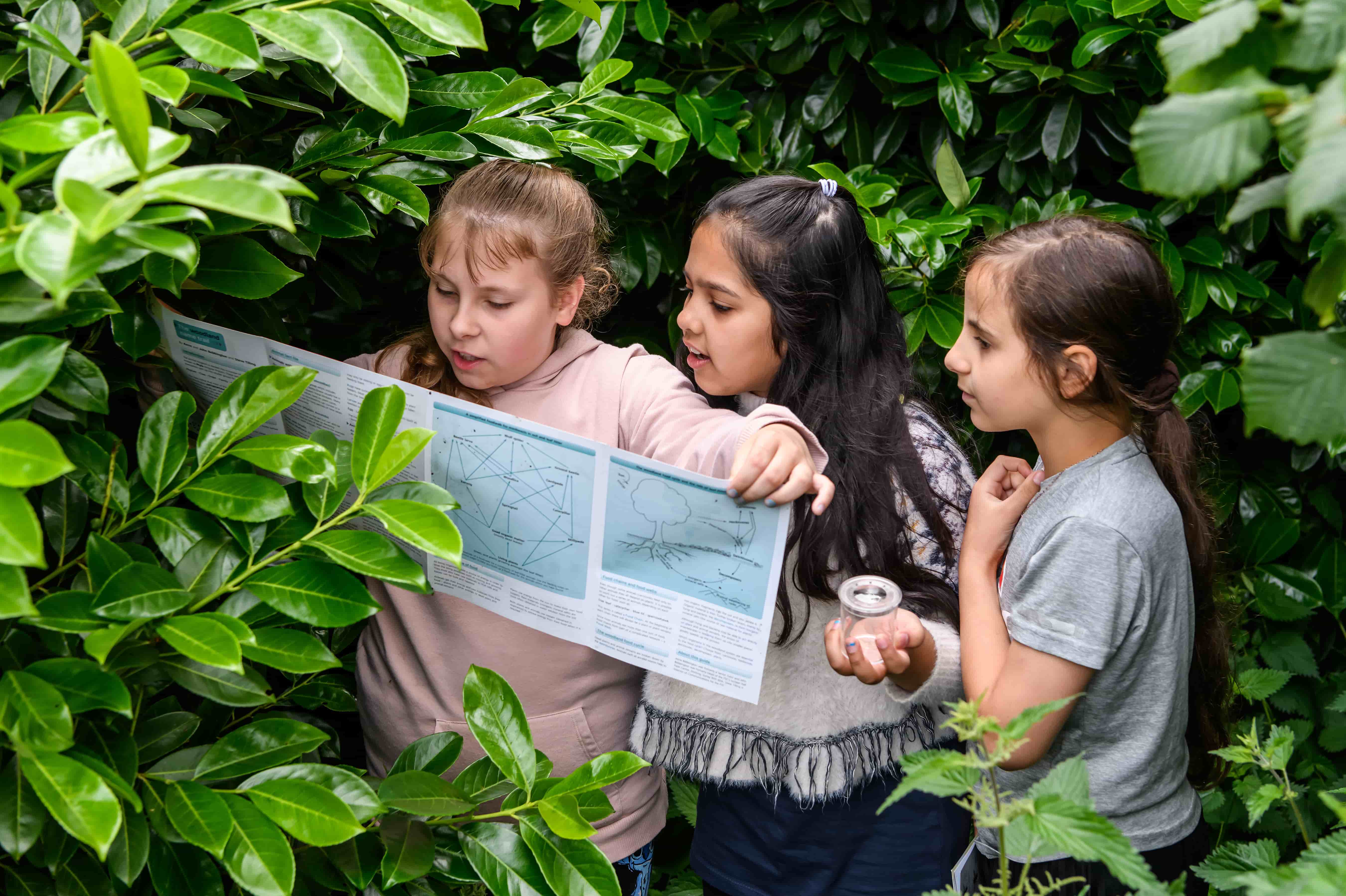 A group of three primary school age children review a large map standing in a green bush 