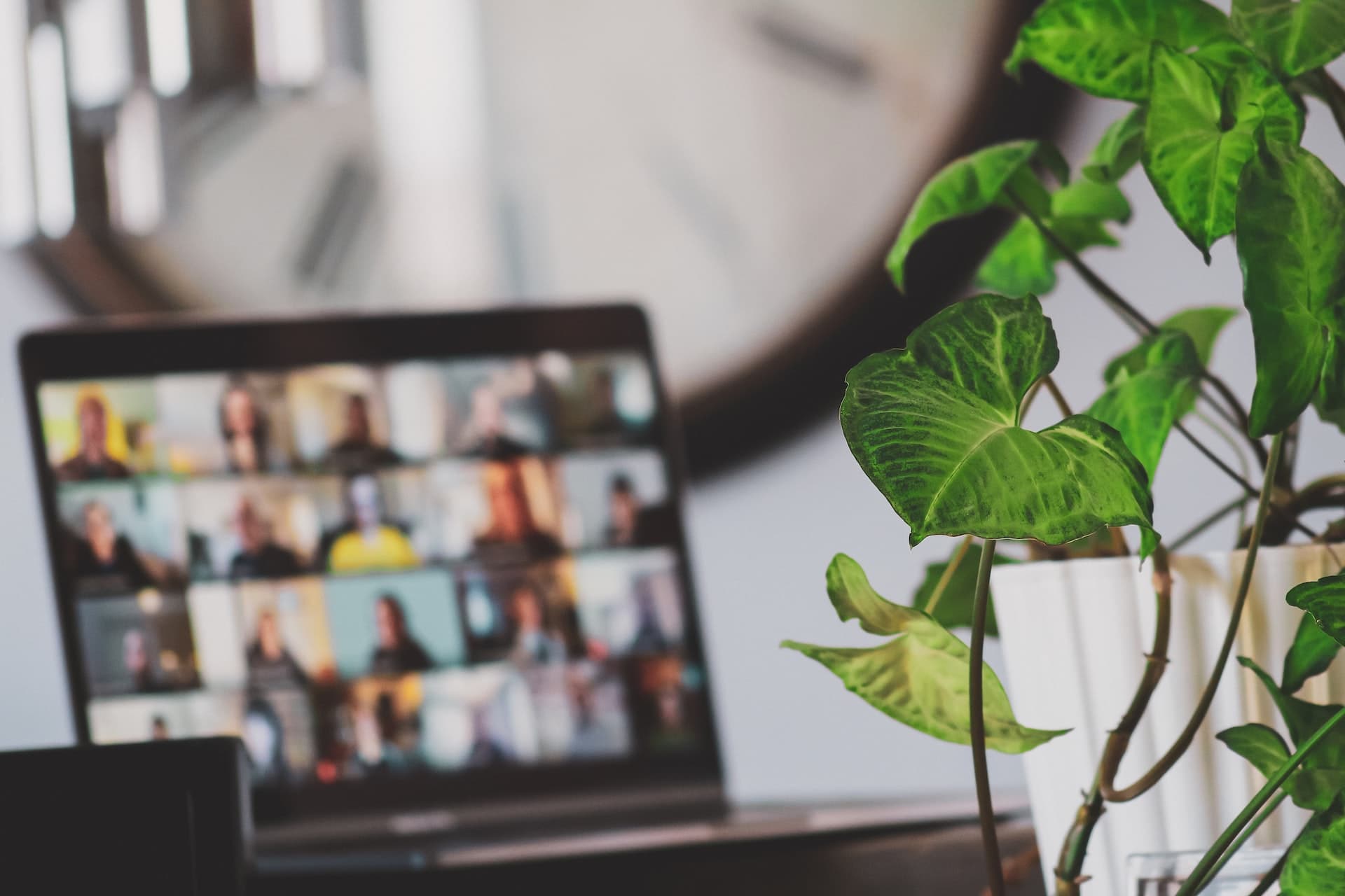 A picture of an out of focus laptop with multiple faces participating in an online meeting with a green plant in the foreground