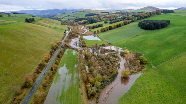 An aerial image of a valley with water flooded in the middle and trees.