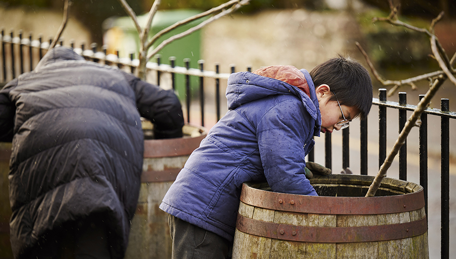 A pupil planting a small tree in a barrel during a Climate Ready School Grounds workshop at St Mary's Dunblane Primary.