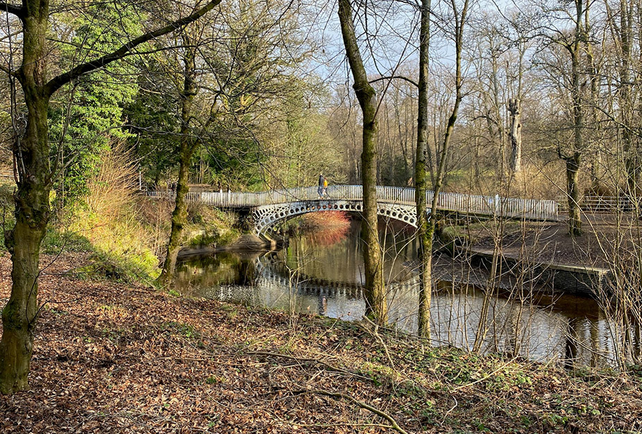 A bridge over a river in a wooded area.