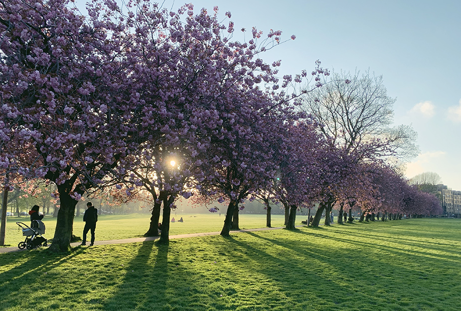 A family walking through Melville lane at the Meadows in Edinburgh.