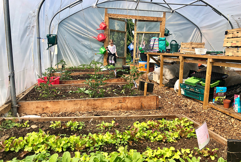 Raised garden beds inside a polytunnel featuring growing vegetables and a table filled with gardening equipment.